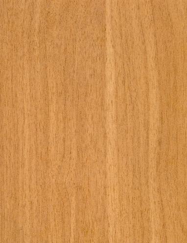 English Oak